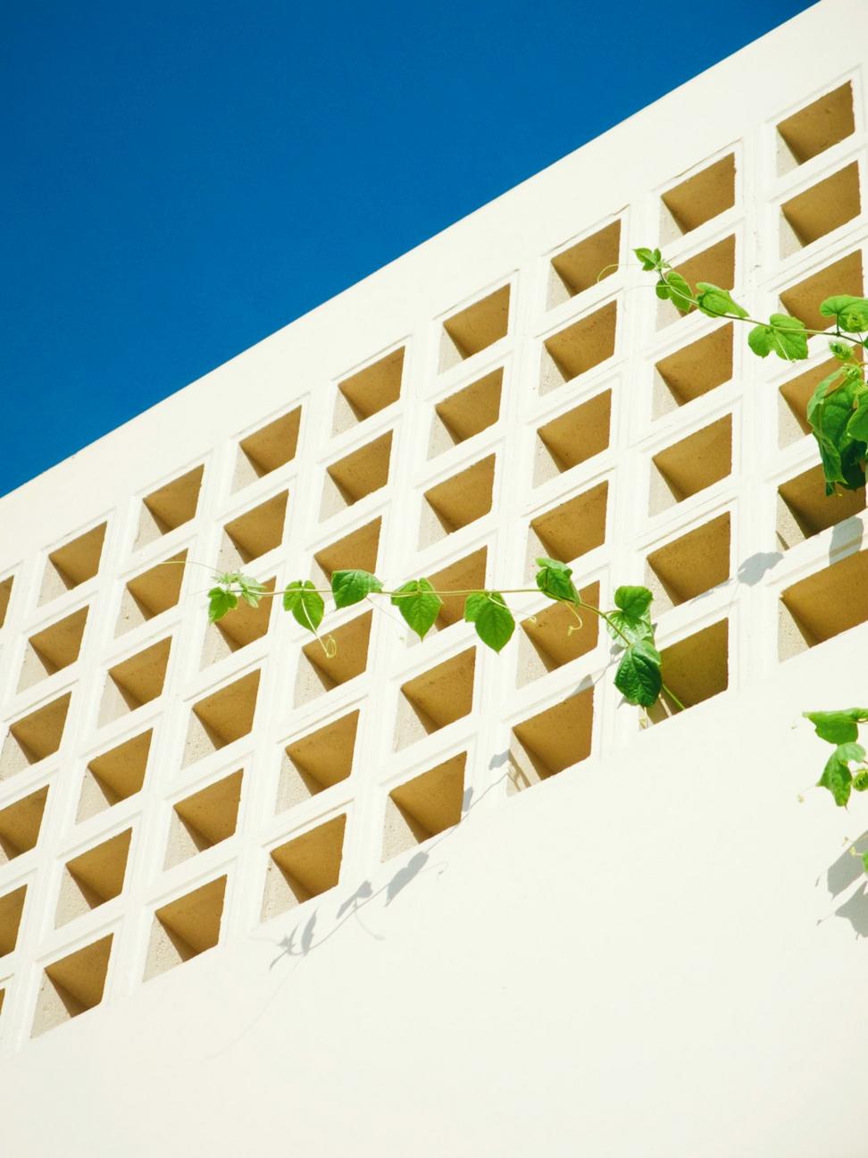 Sustainable building materials