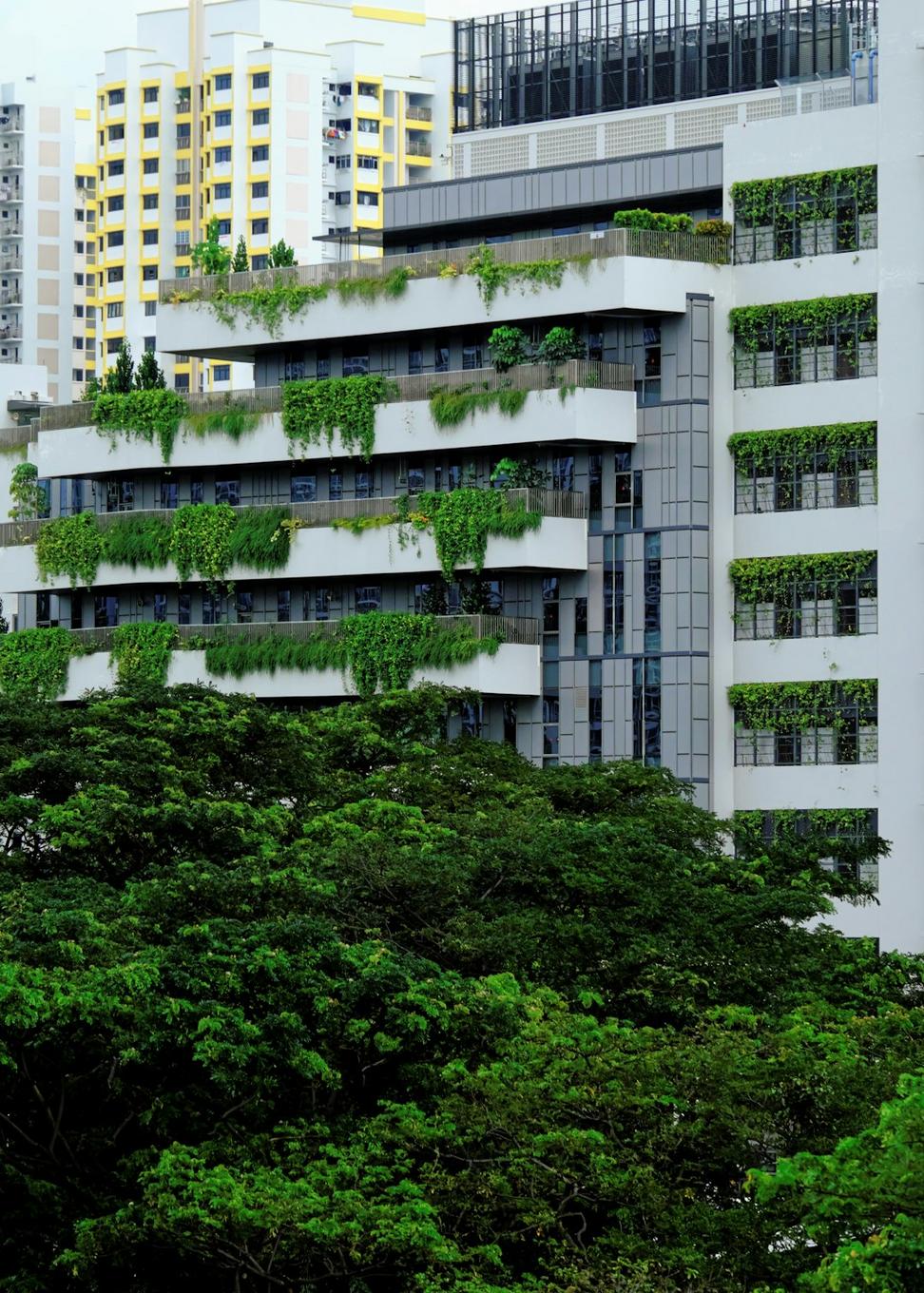 Woodland Apartments