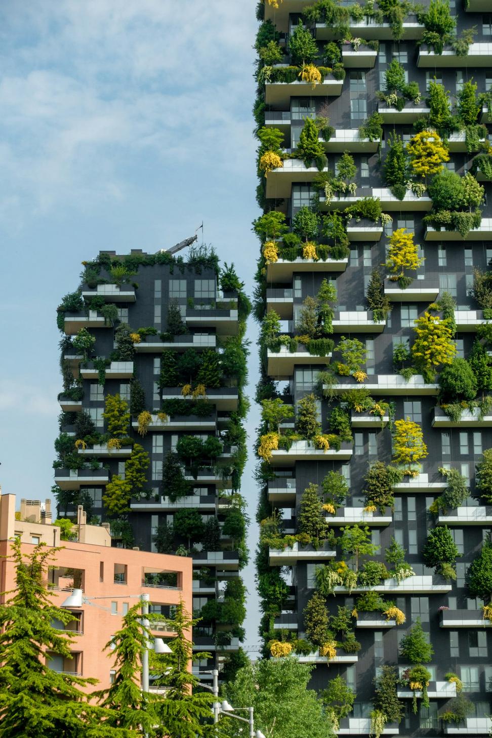 Sustainable consulting