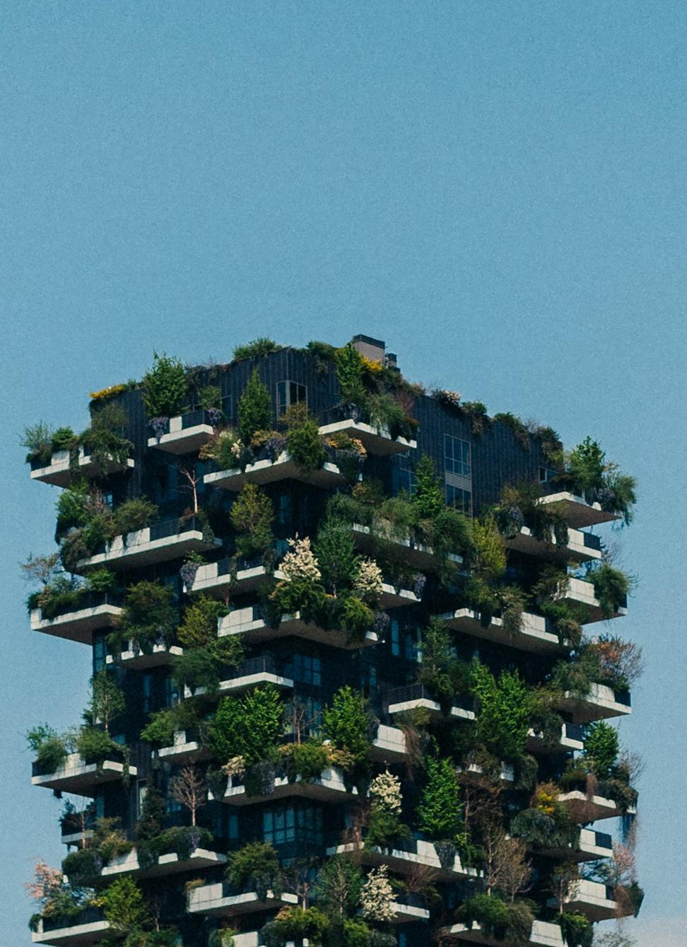 Sustainable architecture